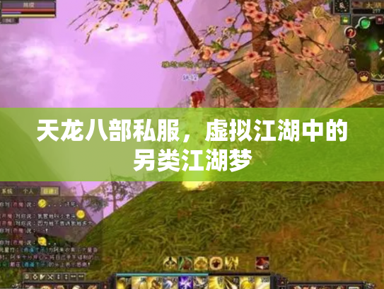 天龙八部私服，虚拟江湖中的另类江湖梦