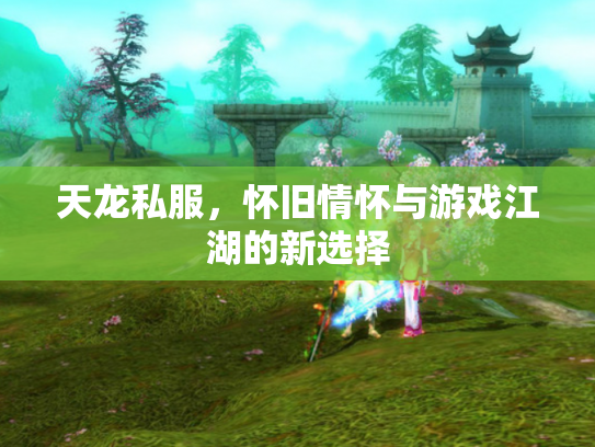 天龙私服，怀旧情怀与游戏江湖的新选择