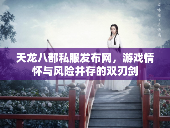 天龙八部私服发布网，游戏情怀与风险并存的双刃剑