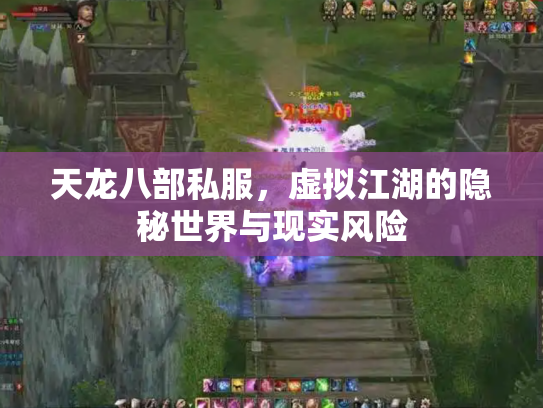 天龙八部私服，虚拟江湖的隐秘世界与现实风险