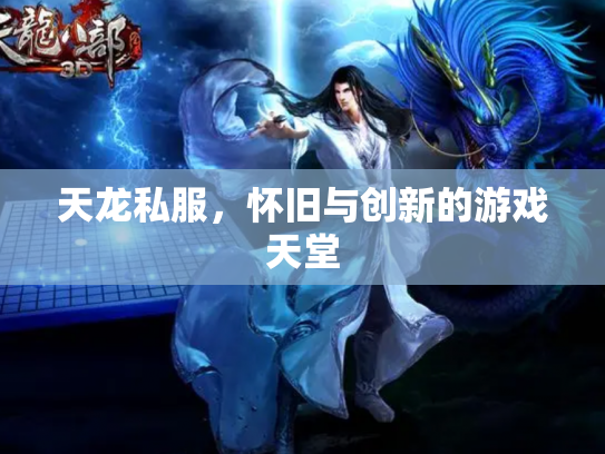 天龙私服，怀旧与创新的游戏天堂