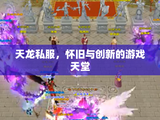 天龙私服，怀旧与创新的游戏天堂
