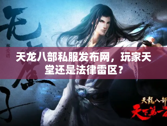 天龙八部私服发布网，玩家天堂还是法律雷区？