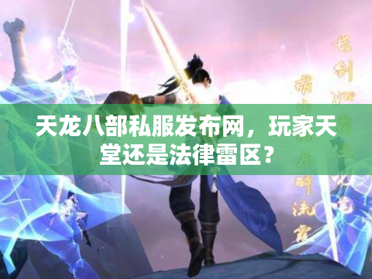 天龙八部私服发布网，玩家天堂还是法律雷区？