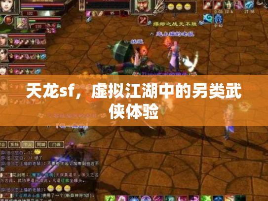 天龙sf，虚拟江湖中的另类武侠体验