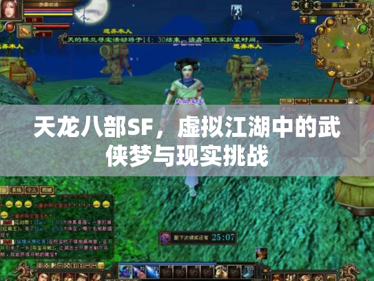 天龙八部SF，虚拟江湖中的武侠梦与现实挑战