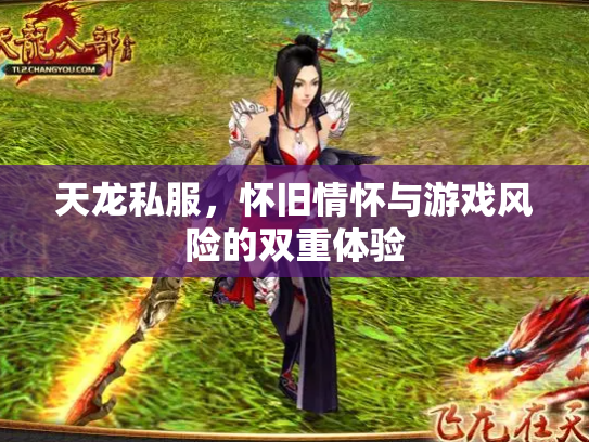 天龙私服，怀旧情怀与游戏风险的双重体验