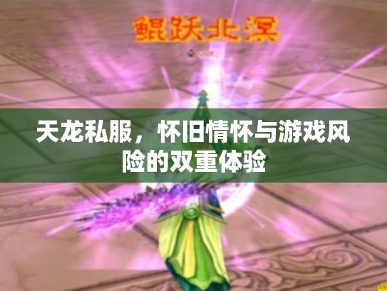 天龙私服，怀旧情怀与游戏风险的双重体验