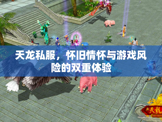 天龙私服，怀旧情怀与游戏风险的双重体验