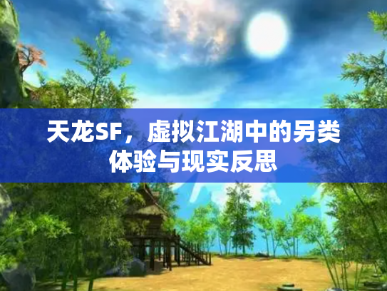 天龙SF，虚拟江湖中的另类体验与现实反思
