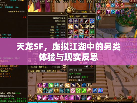 天龙SF，虚拟江湖中的另类体验与现实反思