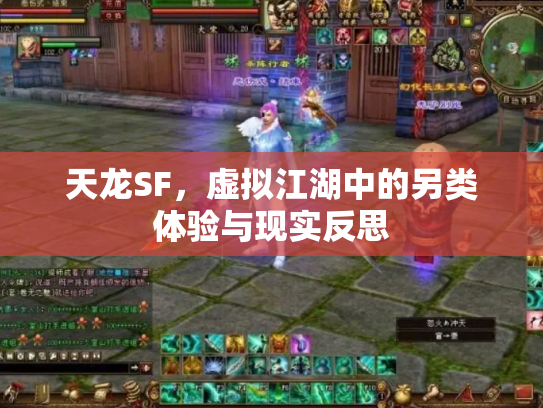 天龙SF，虚拟江湖中的另类体验与现实反思