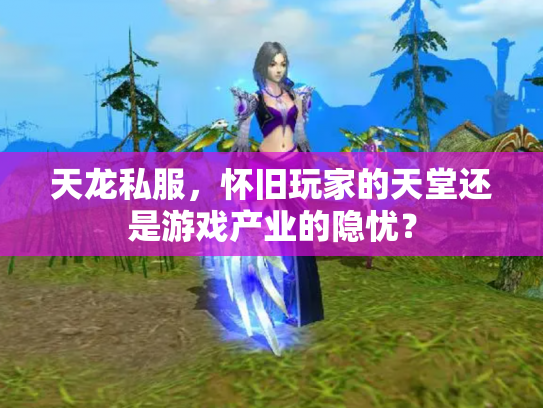 天龙私服，怀旧玩家的天堂还是游戏产业的隐忧？