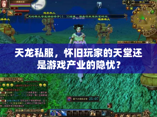 天龙私服，怀旧玩家的天堂还是游戏产业的隐忧？