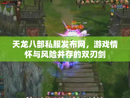 天龙八部私服发布网，游戏情怀与风险并存的双刃剑