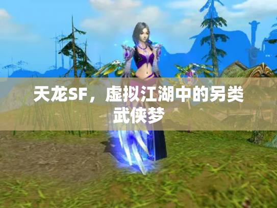 天龙SF，虚拟江湖中的另类武侠梦