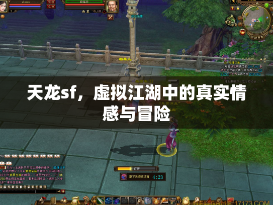 天龙sf，虚拟江湖中的真实情感与冒险