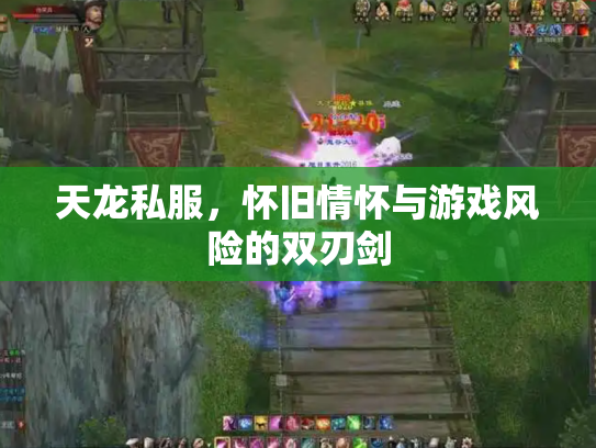 天龙私服，怀旧情怀与游戏风险的双刃剑
