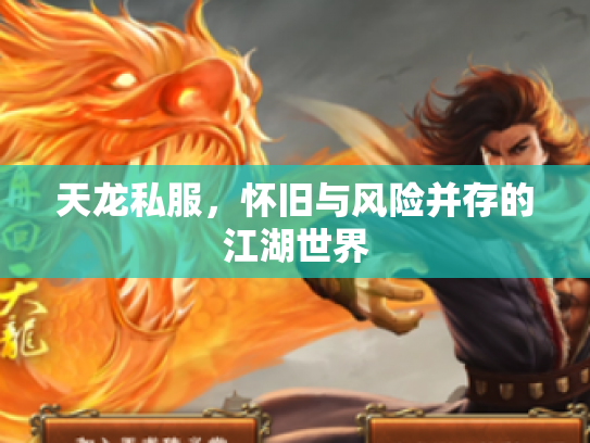 天龙私服，怀旧与风险并存的江湖世界