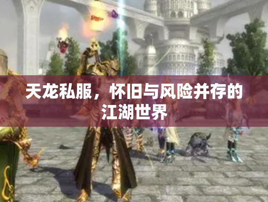 天龙私服，怀旧与风险并存的江湖世界