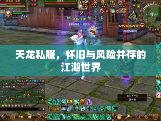 天龙私服，怀旧与风险并存的江湖世界
