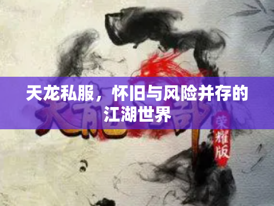 天龙私服，怀旧与风险并存的江湖世界