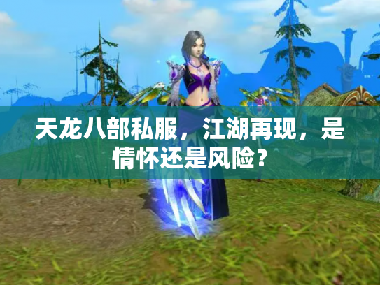天龙八部私服，江湖再现，是情怀还是风险？