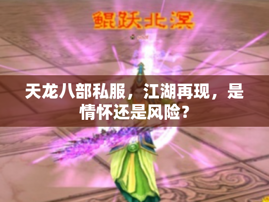 天龙八部私服，江湖再现，是情怀还是风险？