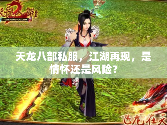 天龙八部私服，江湖再现，是情怀还是风险？