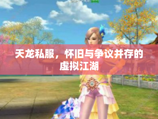 天龙私服，怀旧与争议并存的虚拟江湖