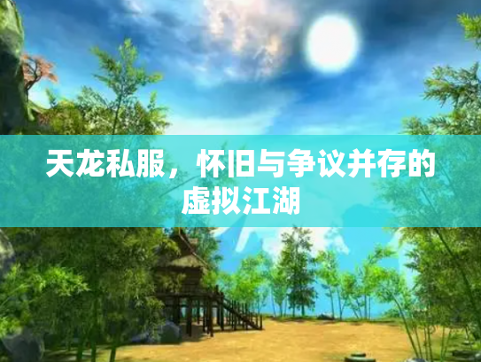 天龙私服，怀旧与争议并存的虚拟江湖