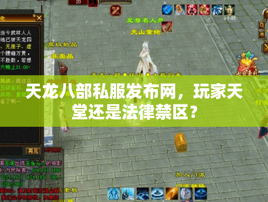 天龙八部私服发布网，玩家天堂还是法律禁区？