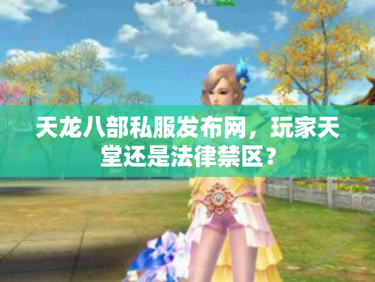 天龙八部私服发布网，玩家天堂还是法律禁区？