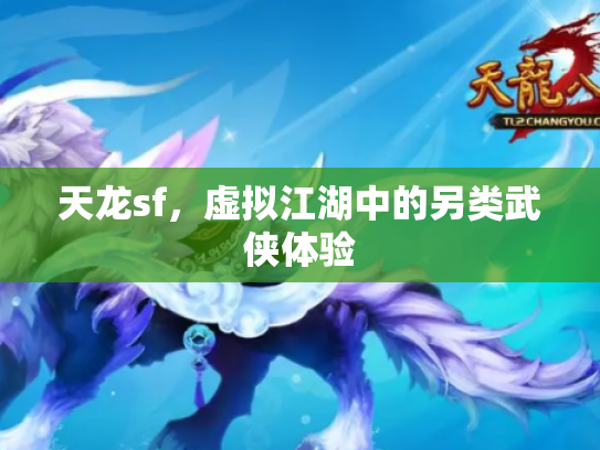 天龙sf，虚拟江湖中的另类武侠体验