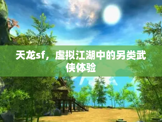 天龙sf，虚拟江湖中的另类武侠体验