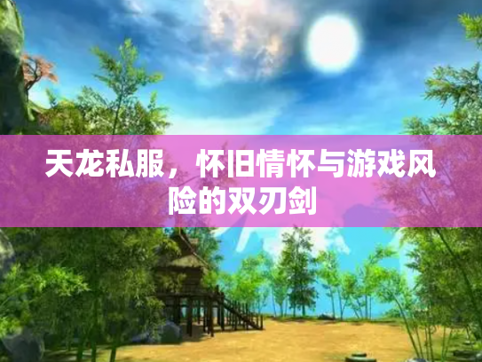 天龙私服，怀旧情怀与游戏风险的双刃剑