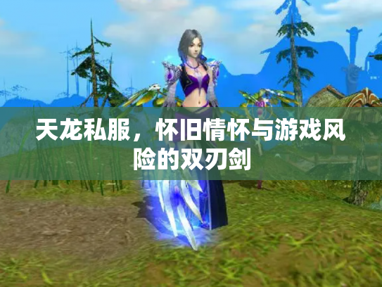 天龙私服，怀旧情怀与游戏风险的双刃剑