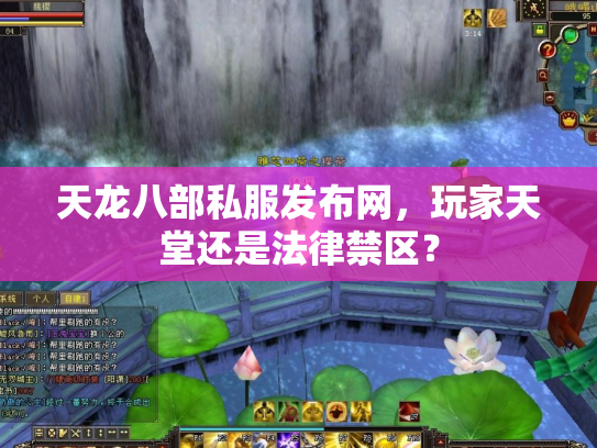 天龙八部私服发布网，玩家天堂还是法律禁区？