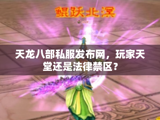 天龙八部私服发布网，玩家天堂还是法律禁区？