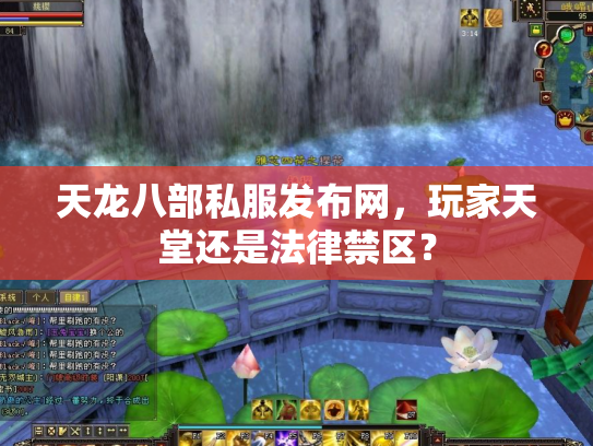天龙八部私服发布网，玩家天堂还是法律禁区？