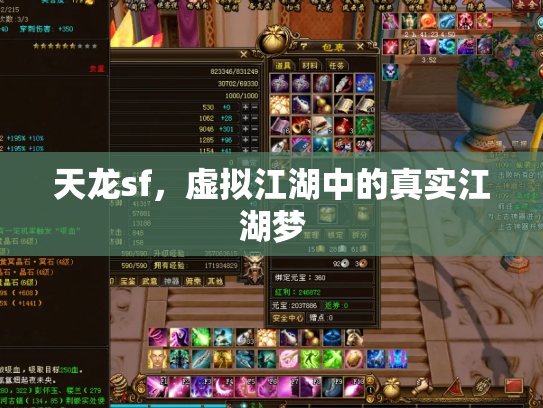 天龙sf，虚拟江湖中的真实江湖梦