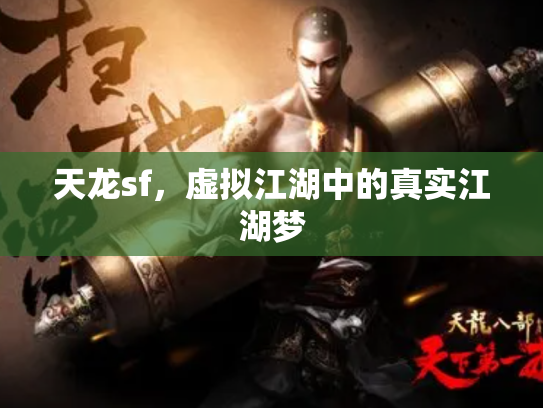 天龙sf，虚拟江湖中的真实江湖梦