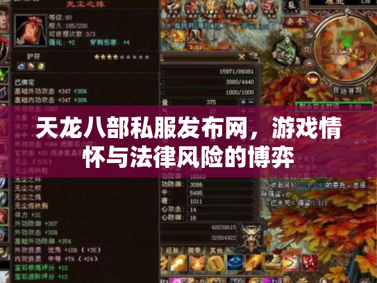 天龙八部私服发布网，游戏情怀与法律风险的博弈