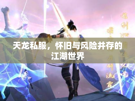 天龙私服，怀旧与风险并存的江湖世界