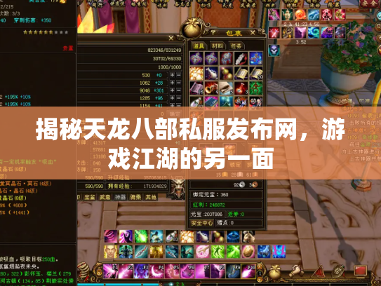 揭秘天龙八部私服发布网，游戏江湖的另一面