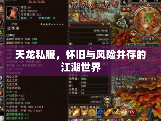 天龙私服，怀旧与风险并存的江湖世界