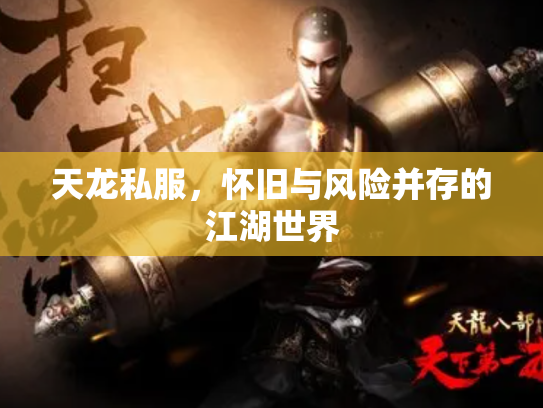天龙私服，怀旧与风险并存的江湖世界