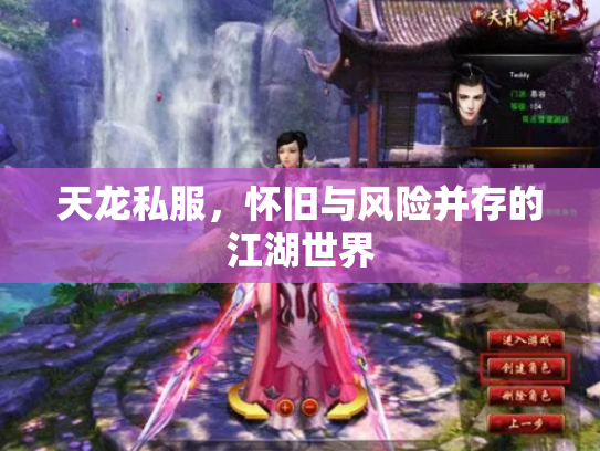 天龙私服，怀旧与风险并存的江湖世界