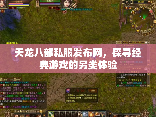天龙八部私服发布网，探寻经典游戏的另类体验