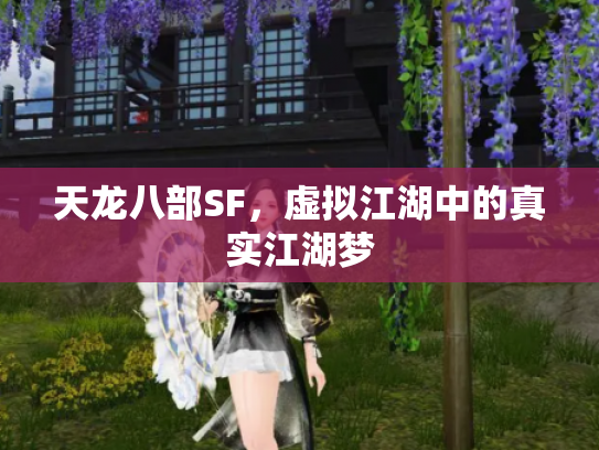 天龙八部SF，虚拟江湖中的真实江湖梦